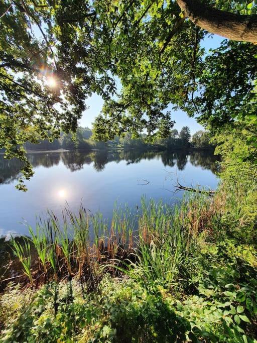 Ferienhaus Blauer See Mit Optionalem Hot-Tub Бокхорн Экстерьер фото